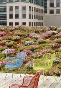 green roof